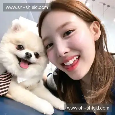 屈芸纯